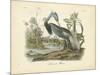 Louisiana Heron-John James Audubon-Mounted Art Print