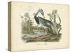 Louisiana Heron-John James Audubon-Stretched Canvas