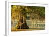 Louisiana, Lake Martin. Cypress Tree in Swamp-Jaynes Gallery-Framed Photographic Print