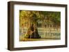 Louisiana, Lake Martin. Cypress Tree in Swamp-Jaynes Gallery-Framed Photographic Print