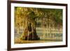 Louisiana, Lake Martin. Cypress Tree in Swamp-Jaynes Gallery-Framed Photographic Print