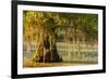 Louisiana, Lake Martin. Cypress Tree in Swamp-Jaynes Gallery-Framed Photographic Print