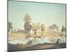 Louisiana Landscape, United States of America, 18th Century-null-Mounted Giclee Print