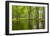 Louisiana, Miller's Lake. Tupelo Trees in Swamp-Jaynes Gallery-Framed Photographic Print