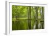 Louisiana, Miller's Lake. Tupelo Trees in Swamp-Jaynes Gallery-Framed Photographic Print