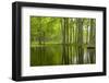 Louisiana, Miller's Lake. Tupelo Trees in Swamp-Jaynes Gallery-Framed Photographic Print