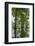 Louisiana, Miller's Lake. Tupelo Trees Reflect in Lake-Jaynes Gallery-Framed Photographic Print