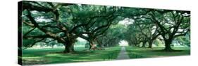 Louisiana, New Orleans, Brick Path Through Alley of Oak Trees-null-Stretched Canvas