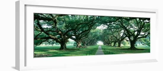 Louisiana, New Orleans, Brick Path Through Alley of Oak Trees-null-Framed Premium Photographic Print