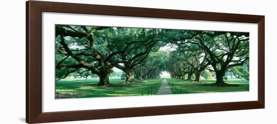 Louisiana, New Orleans, Brick Path Through Alley of Oak Trees-null-Framed Photographic Print