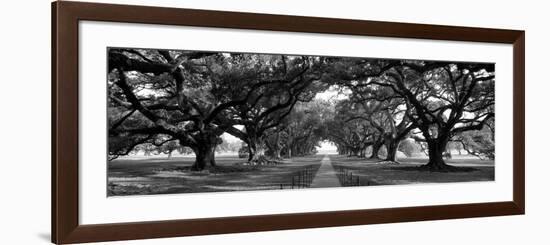 Louisiana, New Orleans, Brick Path Through Alley of Oak Trees-null-Framed Photographic Print