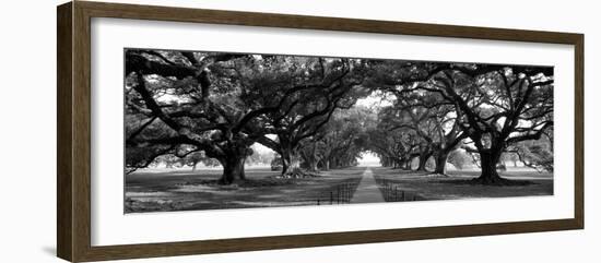 Louisiana, New Orleans, Brick Path Through Alley of Oak Trees-null-Framed Premium Photographic Print