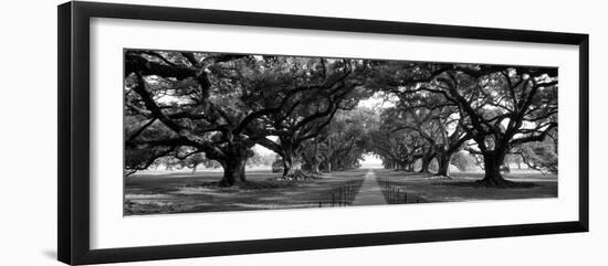 Louisiana, New Orleans, Brick Path Through Alley of Oak Trees-null-Framed Premium Photographic Print