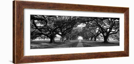 Louisiana, New Orleans, Brick Path Through Alley of Oak Trees-null-Framed Photographic Print