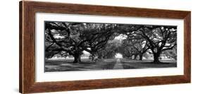 Louisiana, New Orleans, Brick Path Through Alley of Oak Trees-null-Framed Photographic Print