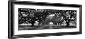 Louisiana, New Orleans, Brick Path Through Alley of Oak Trees-null-Framed Photographic Print