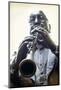 Louisiana, New Orleans, French Quarter, Bourbon Street, Musical Legends Park, Pete Fountain Statue-John Coletti-Mounted Photographic Print