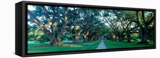 Louisiana, New Orleans, Oak Alley Plantation, Home Through Alley of Oak Trees, Sunset-null-Framed Stretched Canvas