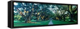 Louisiana, New Orleans, Oak Alley Plantation, Home Through Alley of Oak Trees, Sunset-null-Framed Stretched Canvas