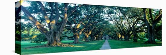 Louisiana, New Orleans, Oak Alley Plantation, Home Through Alley of Oak Trees, Sunset-null-Stretched Canvas