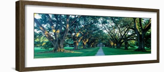 Louisiana, New Orleans, Oak Alley Plantation, Home Through Alley of Oak Trees, Sunset-null-Framed Photographic Print