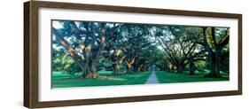 Louisiana, New Orleans, Oak Alley Plantation, Home Through Alley of Oak Trees, Sunset-null-Framed Photographic Print