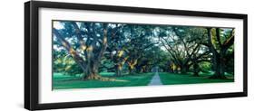 Louisiana, New Orleans, Oak Alley Plantation, Home Through Alley of Oak Trees, Sunset-null-Framed Photographic Print