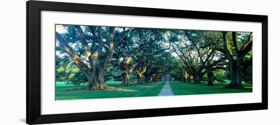 Louisiana, New Orleans, Oak Alley Plantation, Home Through Alley of Oak Trees, Sunset-null-Framed Photographic Print