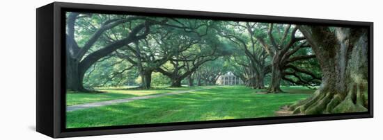 Louisiana, New Orleans, Oak Alley Plantation, Plantation Home Through Alley of Oak Trees-null-Framed Stretched Canvas