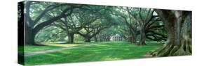 Louisiana, New Orleans, Oak Alley Plantation, Plantation Home Through Alley of Oak Trees-null-Stretched Canvas