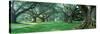 Louisiana, New Orleans, Oak Alley Plantation, Plantation Home Through Alley of Oak Trees-null-Stretched Canvas