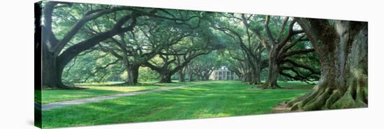 Louisiana, New Orleans, Oak Alley Plantation, Plantation Home Through Alley of Oak Trees-null-Stretched Canvas