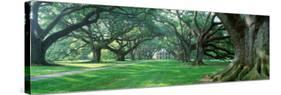 Louisiana, New Orleans, Oak Alley Plantation, Plantation Home Through Alley of Oak Trees-null-Stretched Canvas