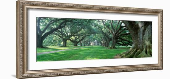 Louisiana, New Orleans, Oak Alley Plantation, Plantation Home Through Alley of Oak Trees-null-Framed Photographic Print