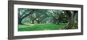 Louisiana, New Orleans, Oak Alley Plantation, Plantation Home Through Alley of Oak Trees-null-Framed Photographic Print