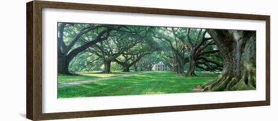 Louisiana, New Orleans, Oak Alley Plantation, Plantation Home Through Alley of Oak Trees-null-Framed Photographic Print