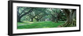 Louisiana, New Orleans, Oak Alley Plantation, Plantation Home Through Alley of Oak Trees-null-Framed Photographic Print