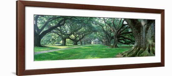 Louisiana, New Orleans, Oak Alley Plantation, Plantation Home Through Alley of Oak Trees-null-Framed Photographic Print