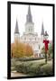 Louisiana, New Orleans. St Louis Cathedral with Holiday Decor-Trish Drury-Framed Photographic Print