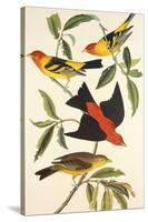 Louisiana Tanager, Scarlet Tanager-John James Audubon-Stretched Canvas