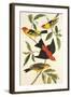 Louisiana Tanager, Scarlet Tanager-John James Audubon-Framed Art Print