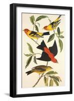 Louisiana Tanager, Scarlet Tanager-John James Audubon-Framed Art Print