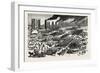 Louisiana: the Business Boom in the South a Scene on the Levée at New Orleans-null-Framed Giclee Print