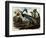 Louisiana Tricolor Heron-John James Audubon-Framed Premium Giclee Print