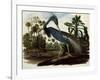 Louisiana Tricolor Heron-John James Audubon-Framed Giclee Print