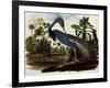 Louisiana Tricolor Heron-John James Audubon-Framed Giclee Print