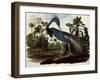 Louisiana Tricolor Heron-John James Audubon-Framed Giclee Print