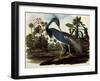 Louisiana Tricolor Heron-John James Audubon-Framed Giclee Print