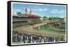 Louisville, Kentucky - Souvenir of the Kentucky Derby; Race Scene-Lantern Press-Framed Stretched Canvas