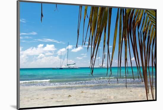 Lounge Beach-pashapixel-Mounted Photographic Print